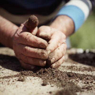 Moises hands earth